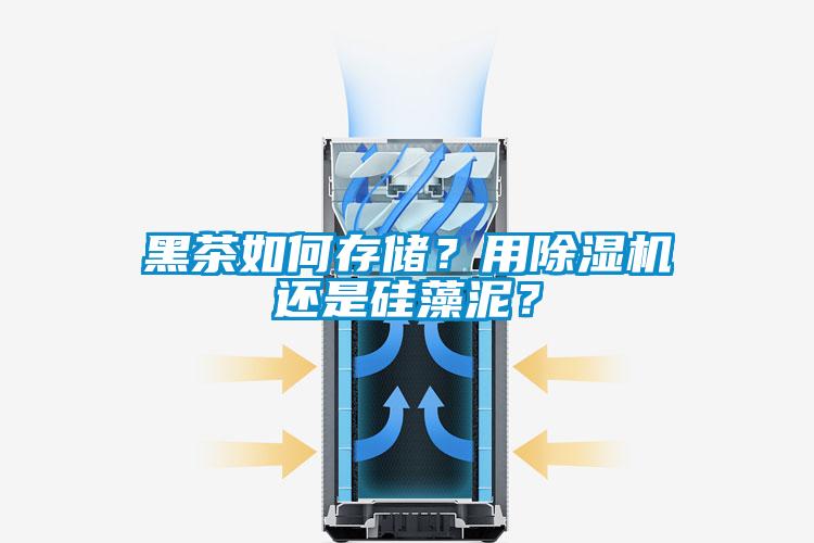 黑茶如何存儲？用除濕機還是硅藻泥？
