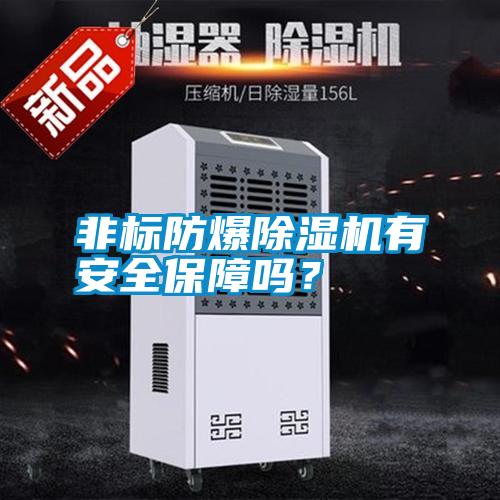 非標(biāo)防爆除濕機(jī)有安全保障嗎？