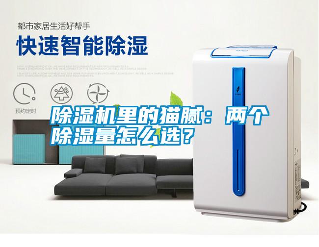 除濕機里的貓膩：兩個除濕量怎么選？