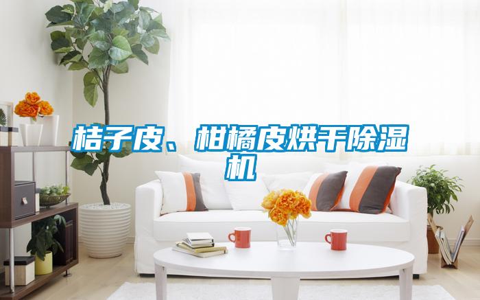 桔子皮、柑橘皮烘干除濕機(jī)