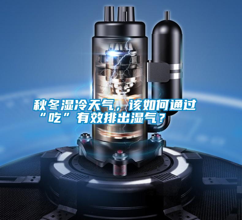 秋冬濕冷天氣，該如何通過“吃”有效排出濕氣？