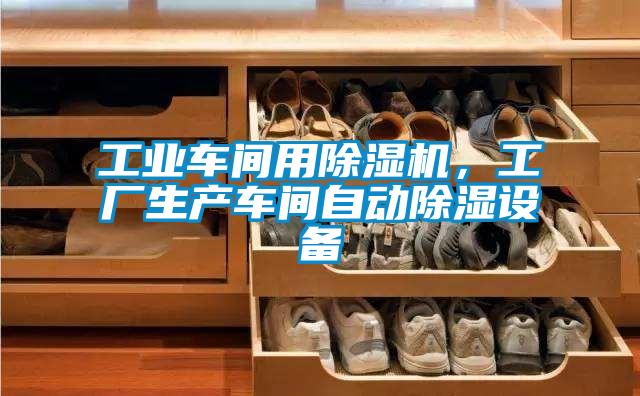 工業(yè)車間用除濕機，工廠生產(chǎn)車間自動除濕設備