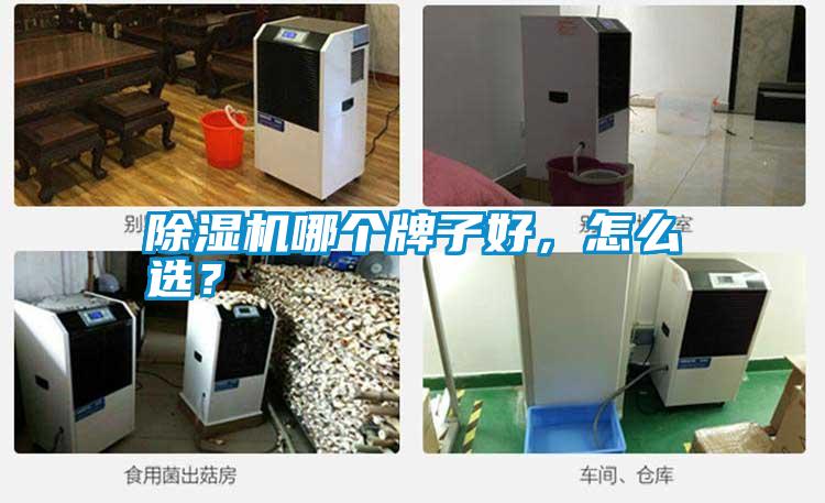 除濕機(jī)哪個牌子好，怎么選？