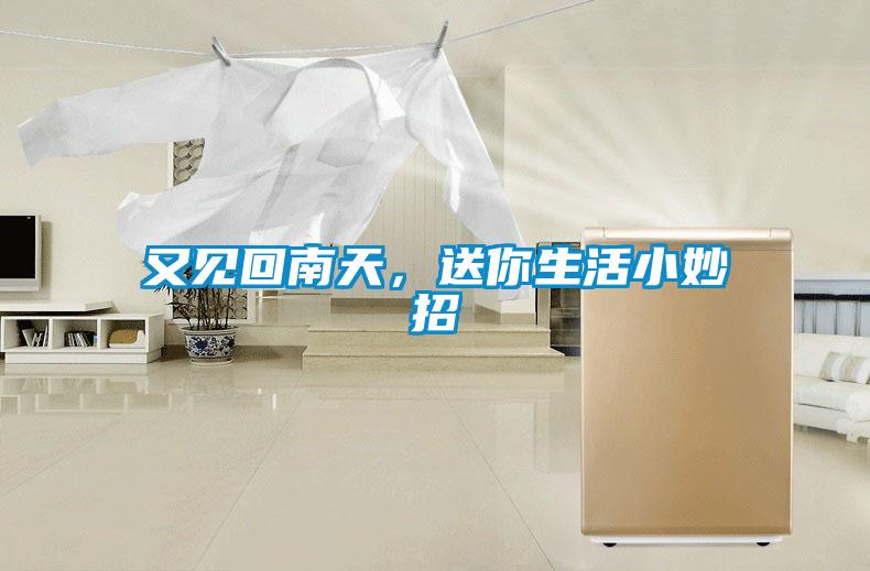 又見回南天，送你生活小妙招