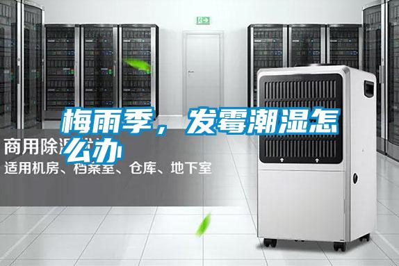 梅雨季，發(fā)霉潮濕怎么辦