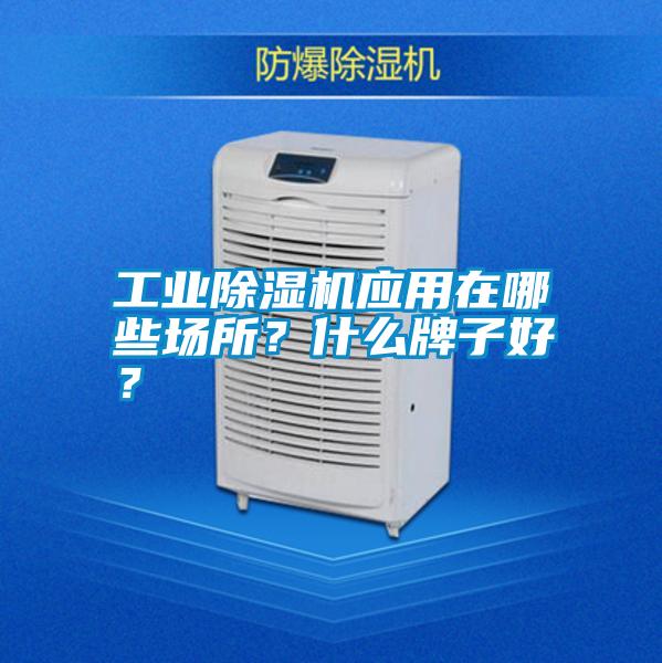 工業(yè)除濕機應(yīng)用在哪些場所？什么牌子好？