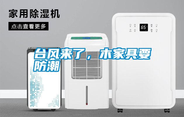 臺風來了，木家具要防潮
