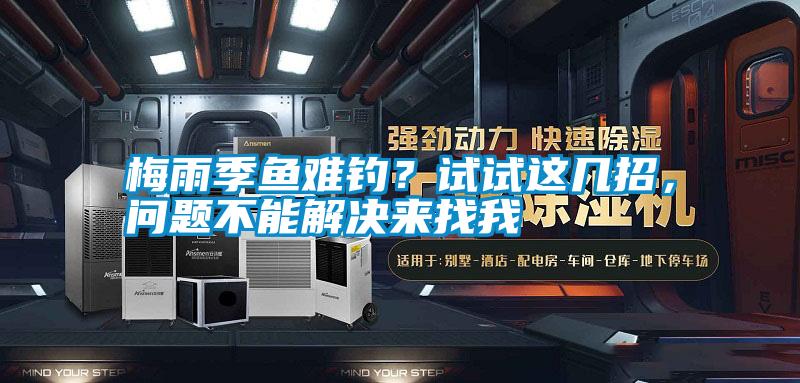 梅雨季魚難釣？試試這幾招，問題不能解決來找我