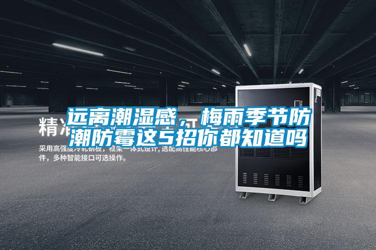 遠(yuǎn)離潮濕感，梅雨季節(jié)防潮防霉這5招你都知道嗎