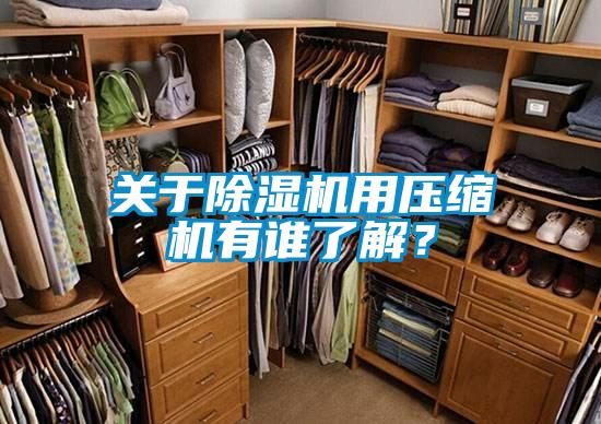 關(guān)于除濕機(jī)用壓縮機(jī)有誰了解？