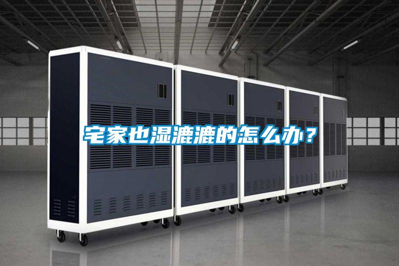 宅家也濕漉漉的怎么辦？