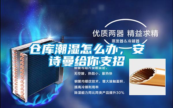 倉庫潮濕怎么辦，安詩曼給你支招