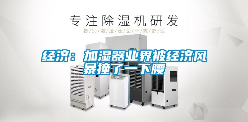 經(jīng)濟：加濕器業(yè)界被經(jīng)濟風(fēng)暴撞了一下腰