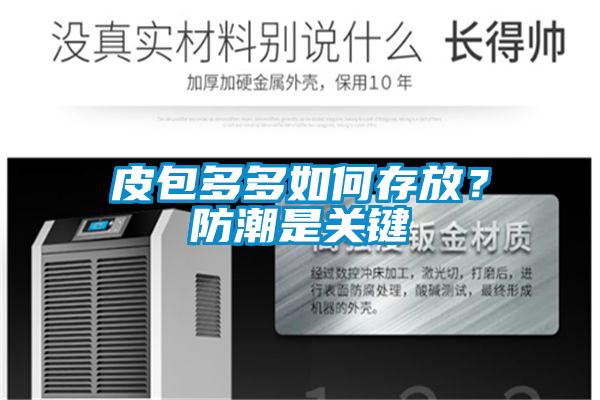 皮包多多如何存放？防潮是關鍵