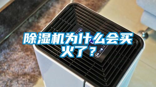 除濕機(jī)為什么會(huì)買(mǎi)火了？