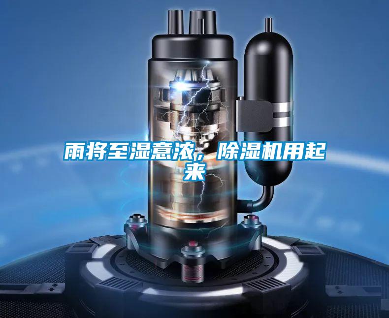 雨將至濕意濃，除濕機用起來