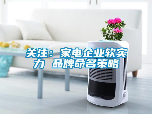 關(guān)注：家電企業(yè)軟實力 品牌命名策略