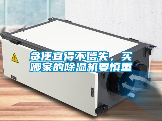 貪便宜得不償失，買哪家的除濕機(jī)要慎重
