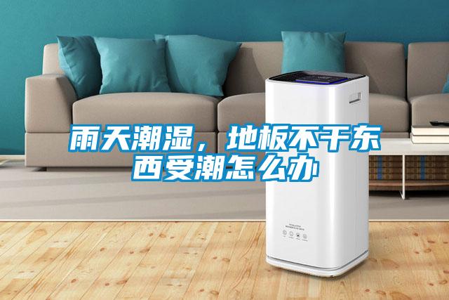 雨天潮濕，地板不干東西受潮怎么辦
