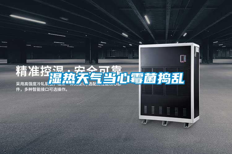 濕熱天氣當心霉菌搗亂