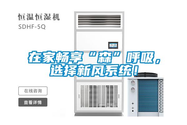 在家暢享“森”呼吸，選擇新風(fēng)系統(tǒng)！