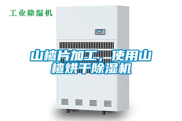 山楂片加工，使用山楂烘干除濕機(jī)