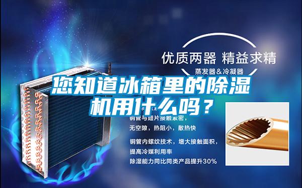 您知道冰箱里的除濕機(jī)用什么嗎？