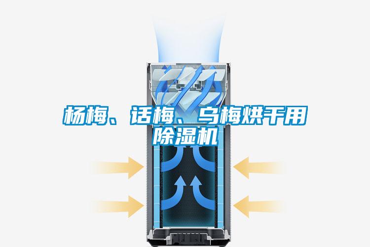 楊梅、話梅、烏梅烘干用除濕機(jī)