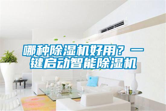 哪種除濕機好用？一鍵啟動智能除濕機