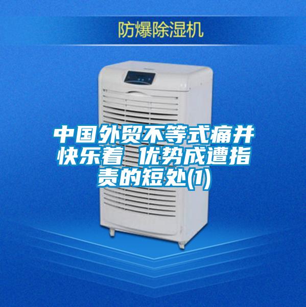 中國外貿(mào)不等式痛并快樂著 優(yōu)勢成遭指責的短處(1)