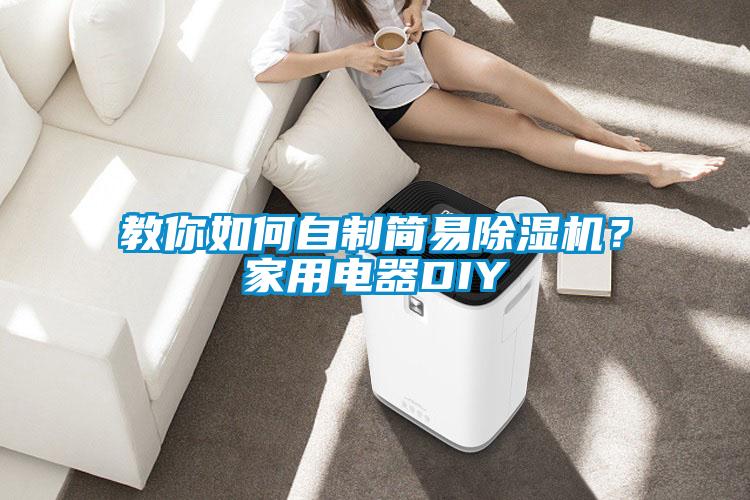 教你如何自制簡易除濕機？家用電器DIY
