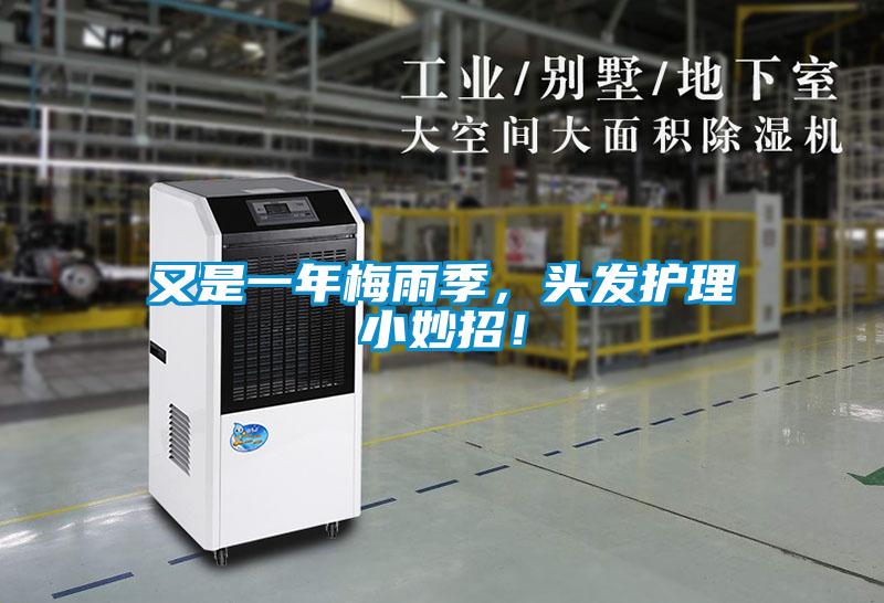 又是一年梅雨季，頭發(fā)護(hù)理小妙招！