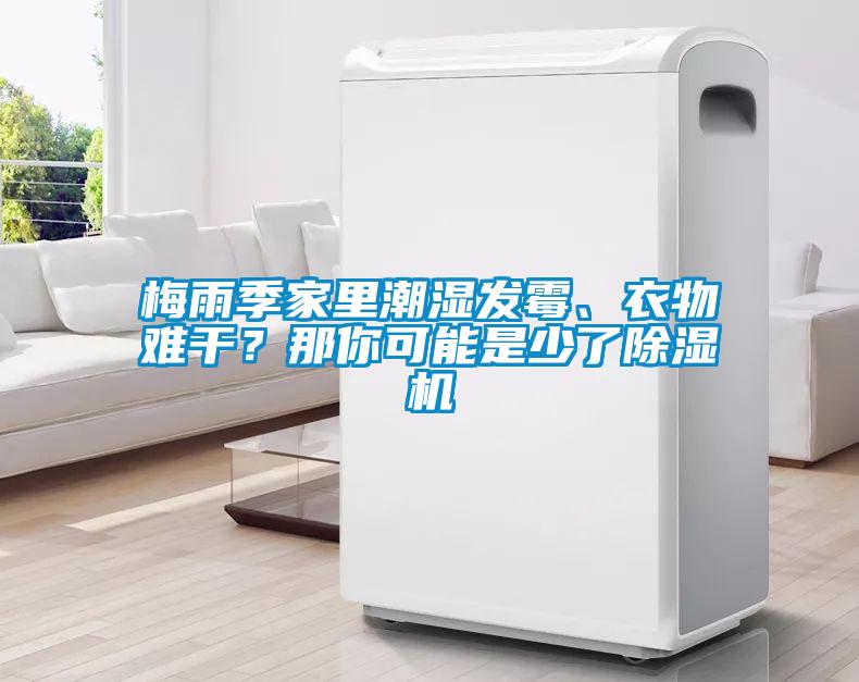梅雨季家里潮濕發(fā)霉、衣物難干？那你可能是少了除濕機(jī)