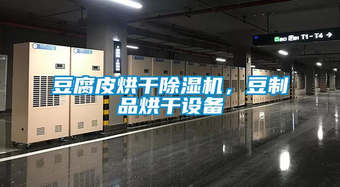 豆腐皮烘干除濕機，豆制品烘干設備