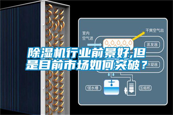 除濕機行業(yè)前景好,但是目前市場如何突破？