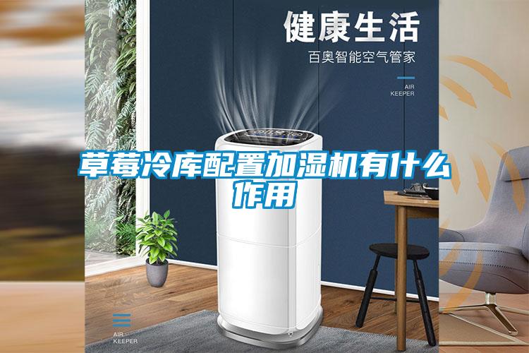 草莓冷庫配置加濕機有什么作用