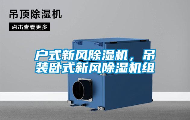 戶式新風(fēng)除濕機(jī)，吊裝臥式新風(fēng)除濕機(jī)組