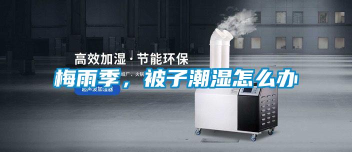 梅雨季，被子潮濕怎么辦