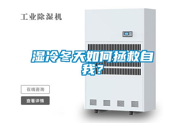 濕冷冬天如何拯救自我？