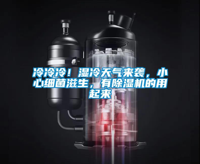 冷冷冷！濕冷天氣來襲，小心細菌滋生，有除濕機的用起來