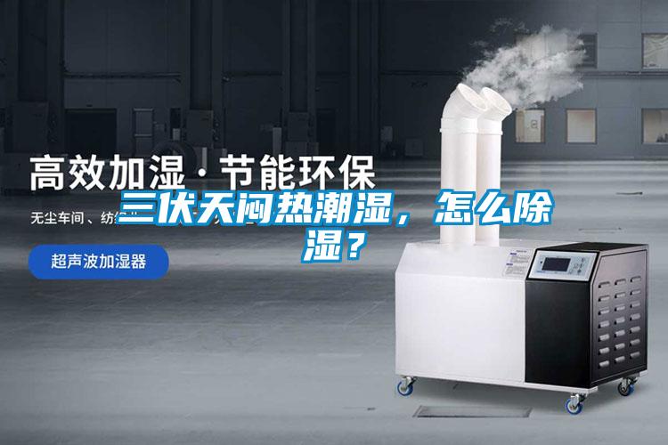 三伏天悶熱潮濕，怎么除濕？