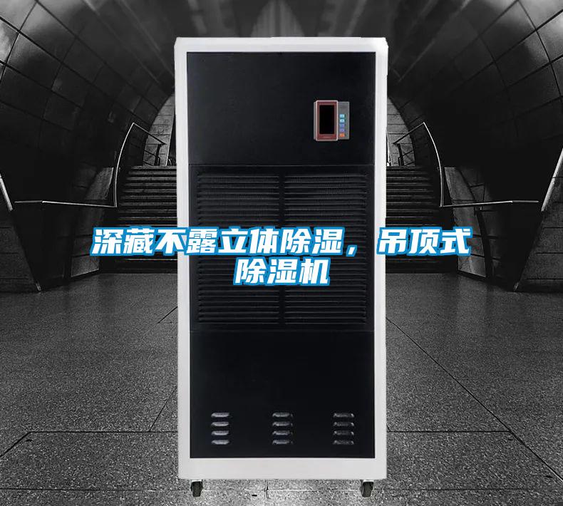 深藏不露立體除濕，吊頂式除濕機(jī)