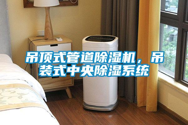 吊頂式管道除濕機，吊裝式中央除濕系統