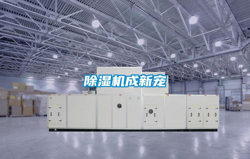 除濕機(jī)成新寵