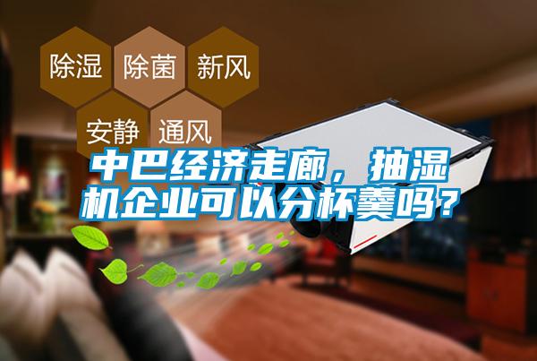 中巴經(jīng)濟走廊，抽濕機企業(yè)可以分杯羹嗎？