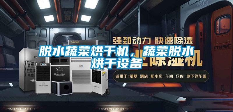 脫水蔬菜烘干機，蔬菜脫水烘干設(shè)備