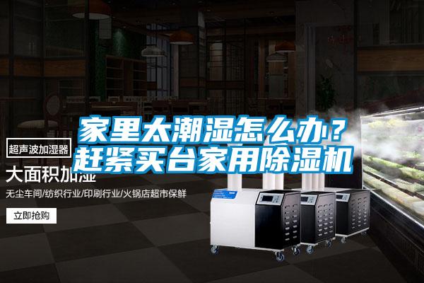 家里太潮濕怎么辦？趕緊買臺家用除濕機