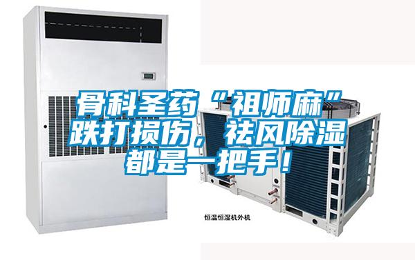 骨科圣藥“祖師麻”跌打損傷，祛風除濕都是一把手！