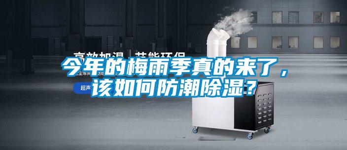 今年的梅雨季真的來了，該如何防潮除濕？