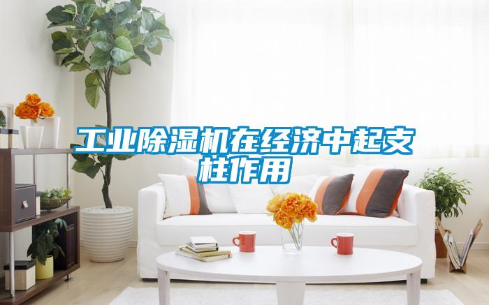 工業(yè)除濕機(jī)在經(jīng)濟(jì)中起支柱作用